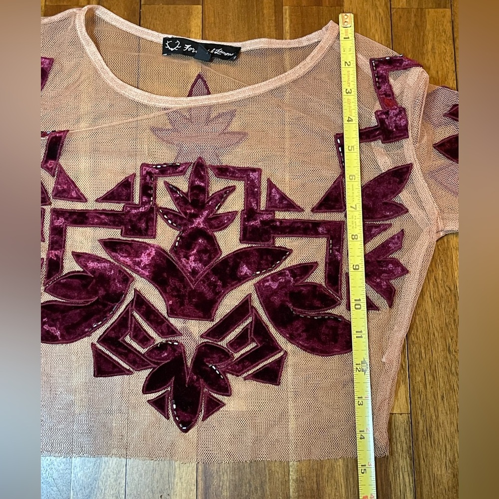 For love and lemons Elegant Sheer Top with Velvet Accents size small - Picture 7 of 11